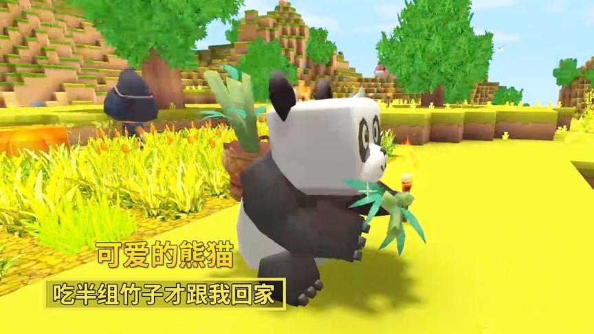 迷你世界极限生存11：我用半组竹子，把背竹篓的小熊猫带回了家