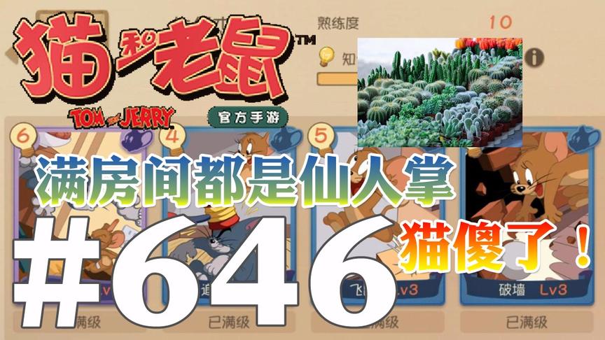 【奥尼玛】猫和老鼠手游 EP646 牛仔杰瑞15秒一个仙人掌玩崩橘猫