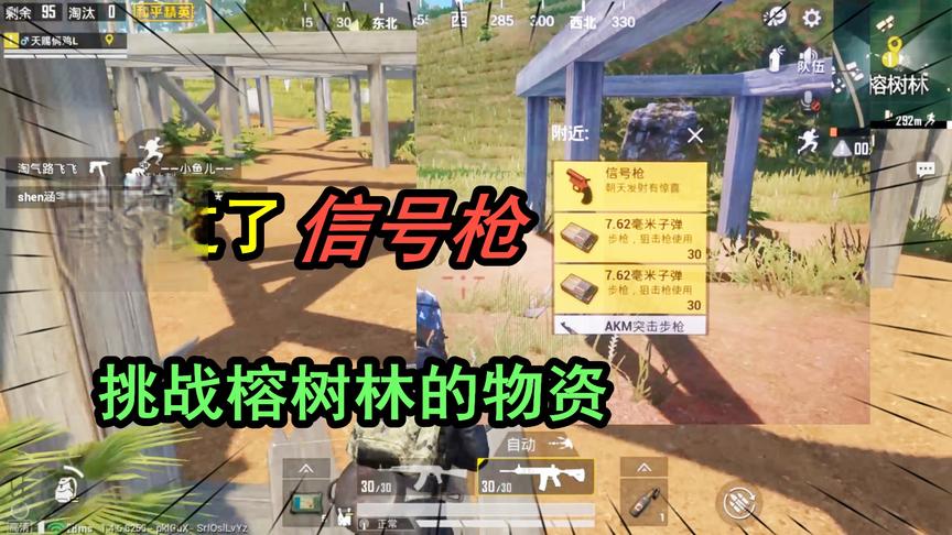 天赐俩鸡：挑战只捡榕树林的物资吃鸡，没想到错过了一把信号枪