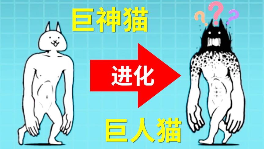 猫咪大战争：神进化为人？这游戏的逻辑有问题啊！小宝趣玩