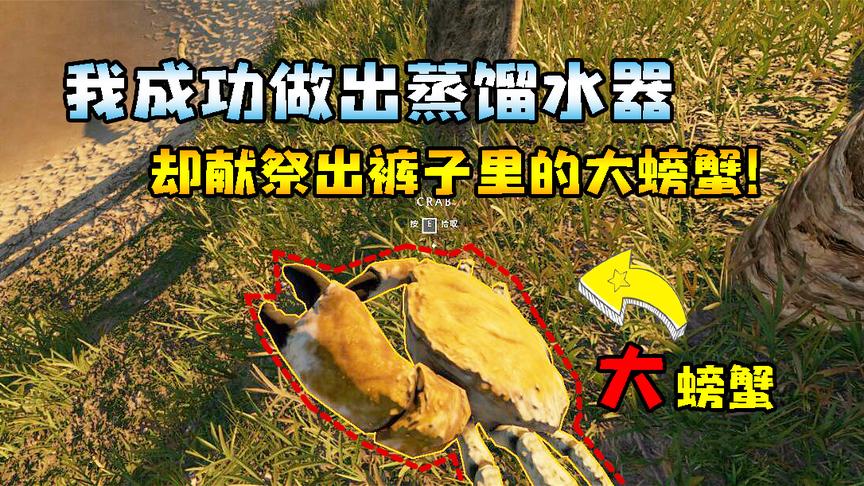 荒岛求生3：我为了喝干净的水，亲手打造蒸馏水器！