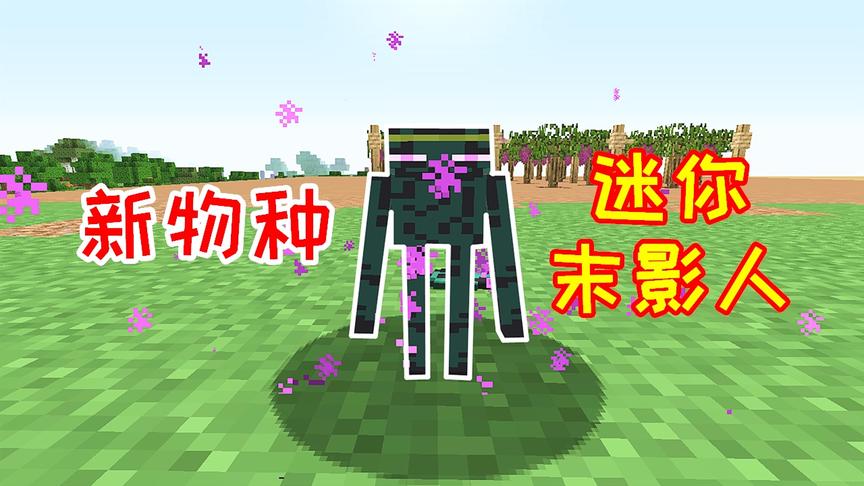 生活大冒险115：小毅找到迷你末影人，能爆出珍贵掉落物！