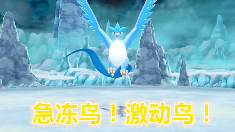 精灵宝可梦Ep11-双子岛的急冻鸟