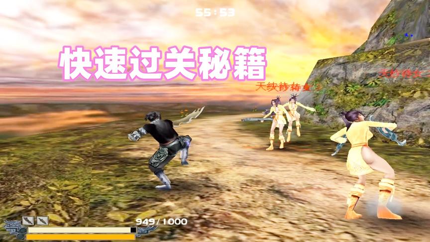 流星蝴蝶剑：侍女都拿起武器进行对抗，看我快速过关秘籍