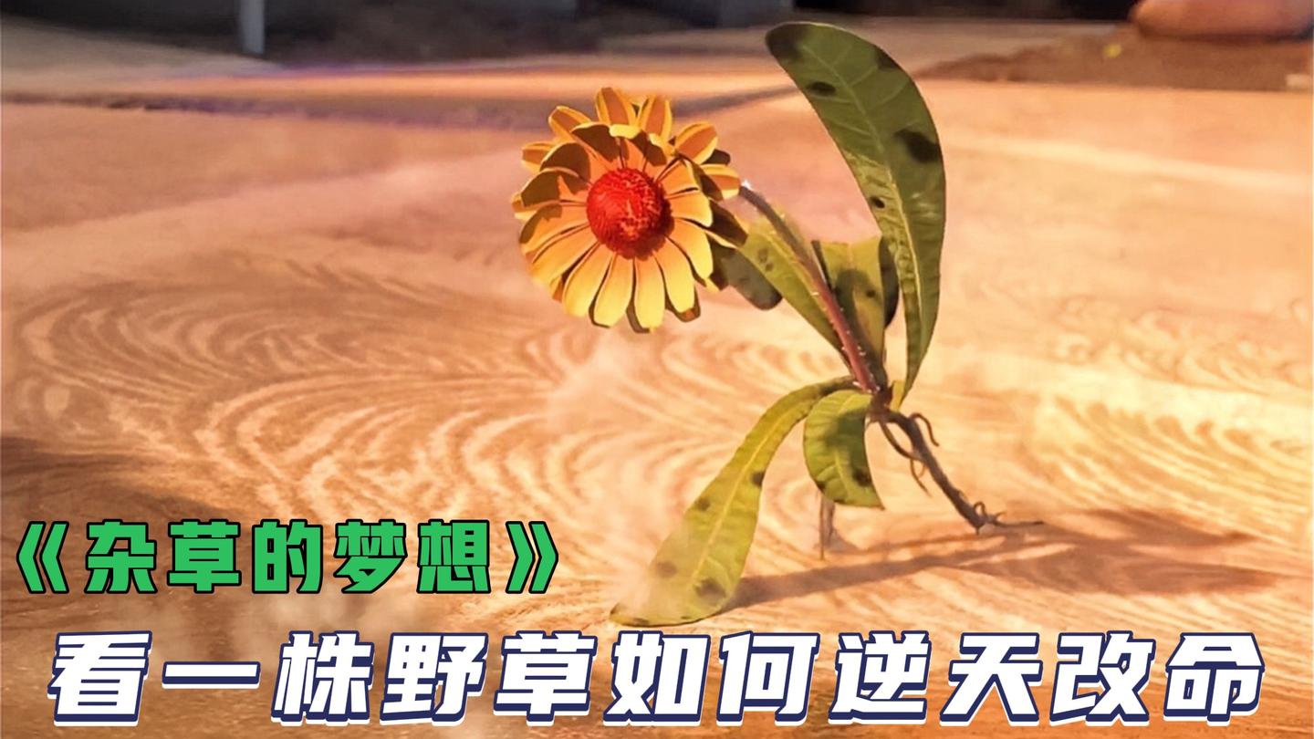 《动漫解说》_野草为了改变糟糕的处境，以生命为代价将自己连根拔起，励志动画_动漫解说