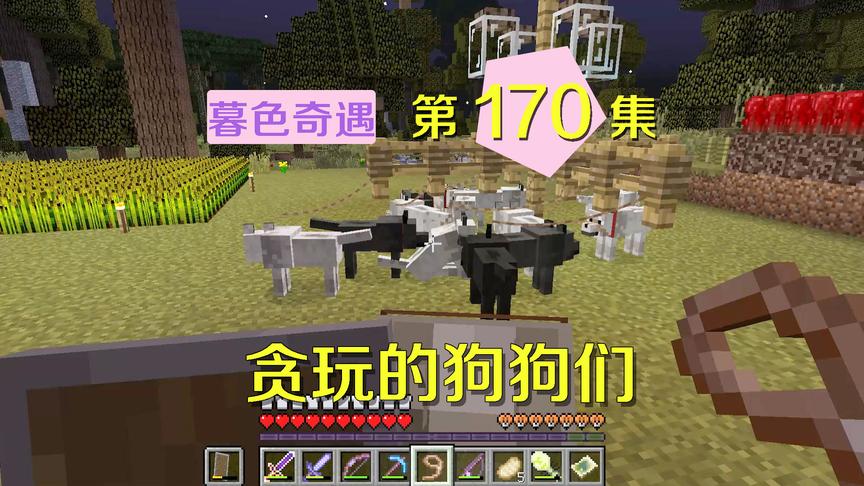 我的世界阿阳暮色奇遇170：狗狗贪玩挣脱缰绳？玩泥巴弄得全身黑