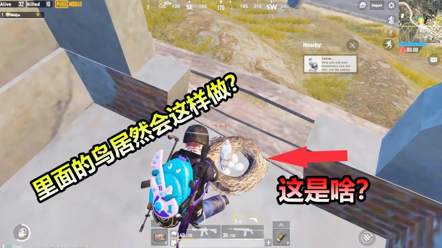 刺激战场：隐藏彩蛋？游戏里这个地方还有一处神秘的鸟窝
