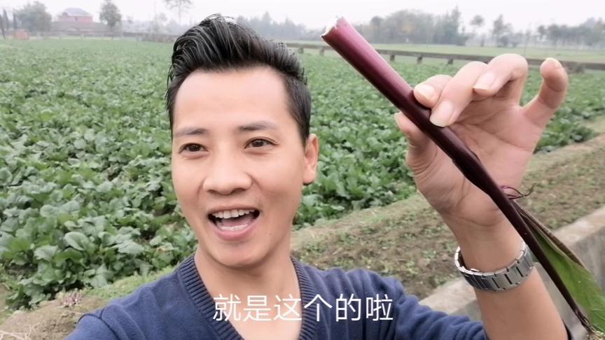 青菜苔的种植方法 西瓜视频