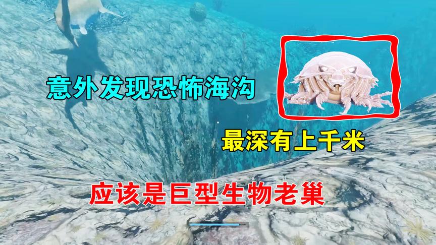 荒岛求生23：意外发现恐怖海沟，最深处有生物存在吗？我冒险试探