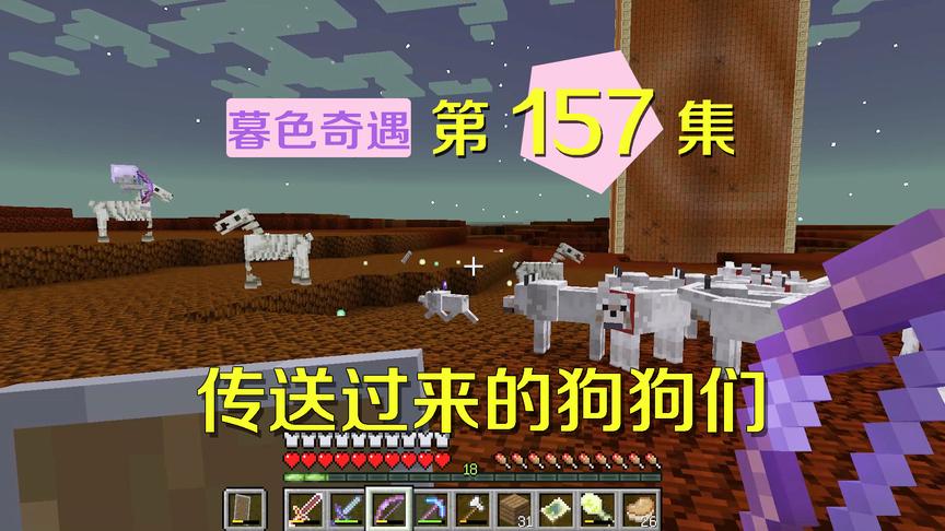 我的世界阿阳暮色奇遇157：狗狗军团凭空传送，忠心护主大战骷髅