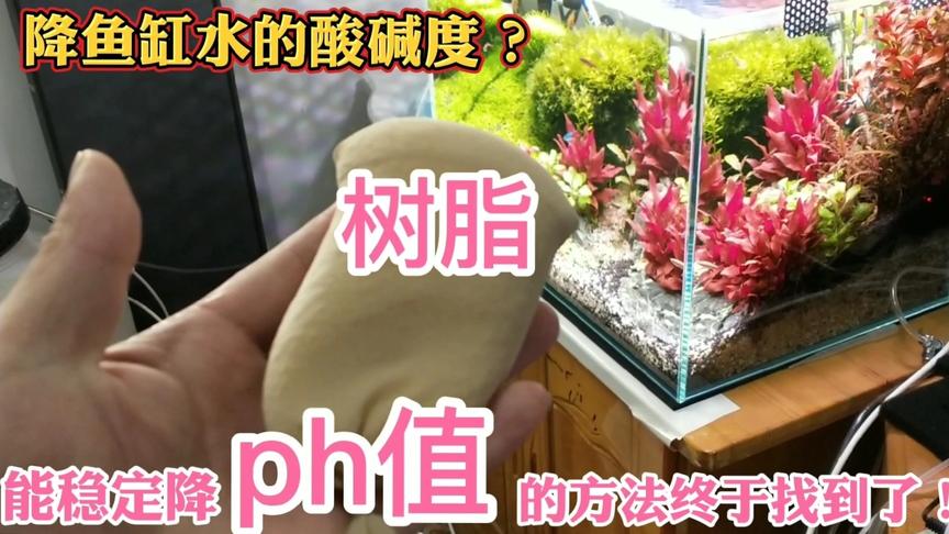 Ph值多少适合养水草 西瓜视频