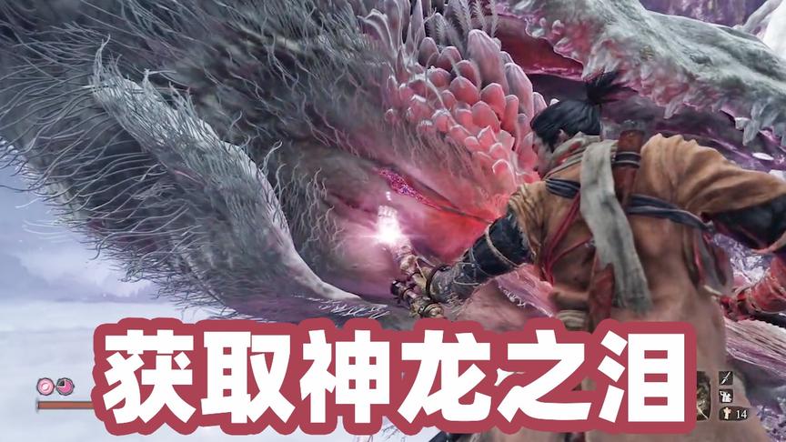 只狼大结局：打败神龙后如愿获得龙泪，现在来实现龙之返乡吧！