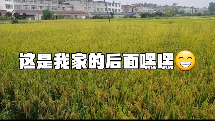 小林家的后面