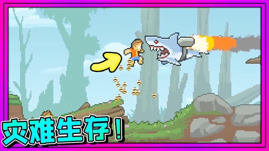 小岛冒险故事：带着两只狗狗度假，我究竟经历了什么！