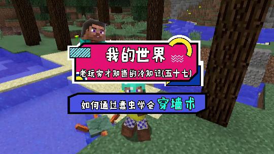 我的世界：回穿墙的史蒂夫你怕不怕？