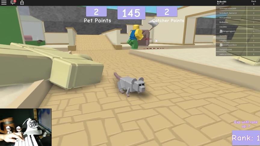 roblox“宠物逃生”波波仔解说：机智的波波鼠再一次躲过人类追捕