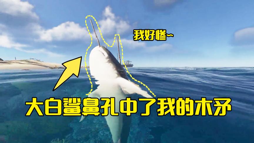 荒岛求生13：下海捕鱼遇到鲨鱼来袭击，反击后它竟被木矛戳中鼻子