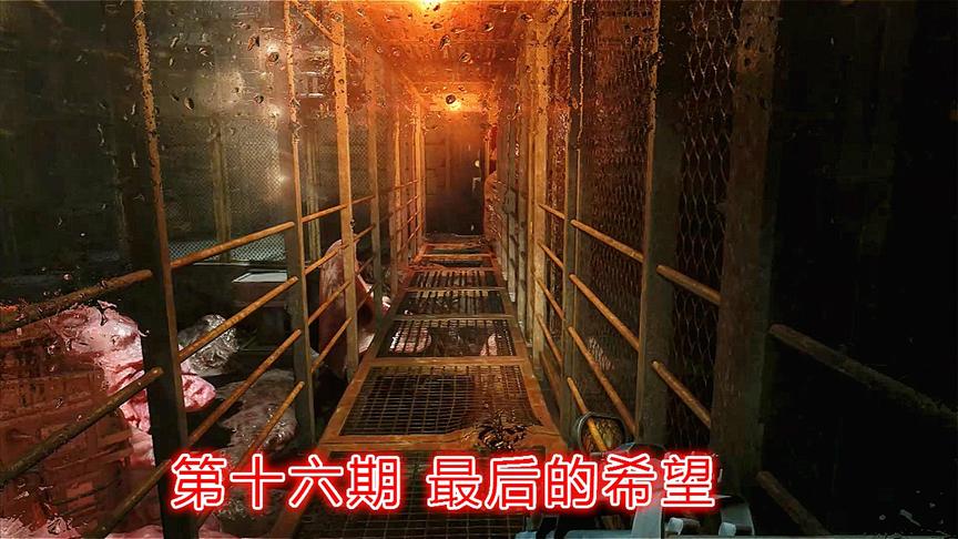 末日生存《地铁2033》最高难度P16：最后的希望