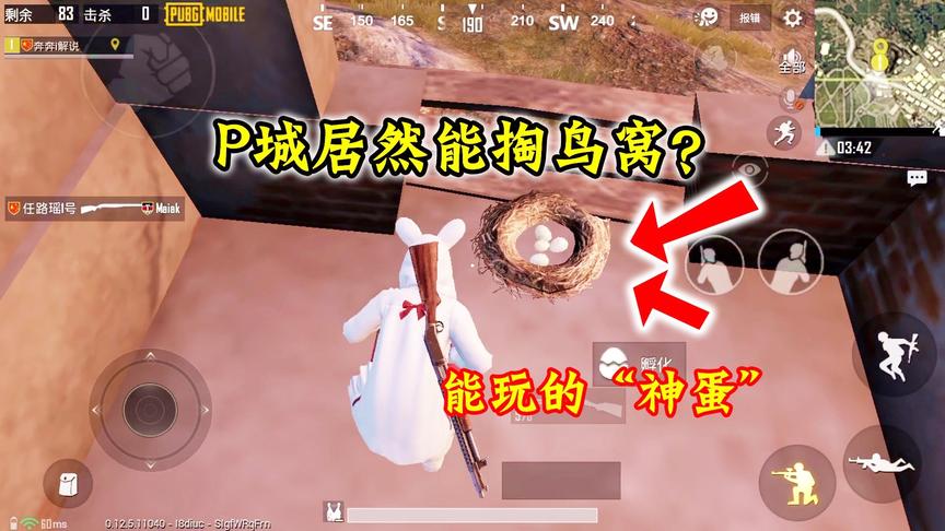 刺激战场：原来这P城还能掏鸟蛋玩？听说这个蛋拥有“神奇力量”