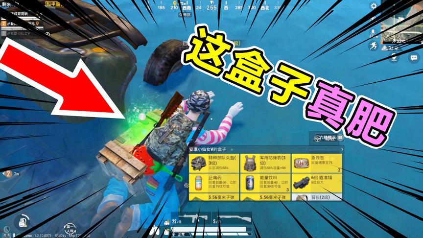 爆笑吃鸡52：误伤队友被疯狂举报？学会这招，光子也拿你没办法！