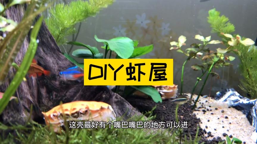 Diy虾屋 西瓜视频