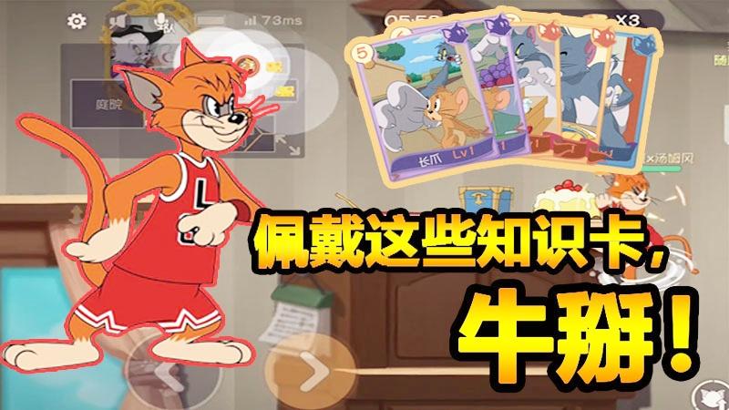 随风猫皇之路02：敏捷莱特宁配这些知识卡，猫皇必备！