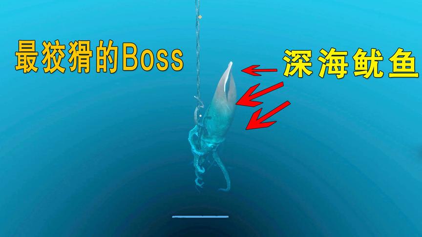 荒岛求生40：深海巨鱿太狡猾，埋伏在水下等我上钩，智商堪比人类