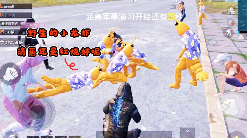 小梦解说：出生岛发现6只野生的“小龙虾”，你们说清蒸还是红烧