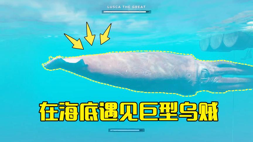 荒岛求生18：在海底遇到一只巨型乌贼，它能把人从木筏上拉下水