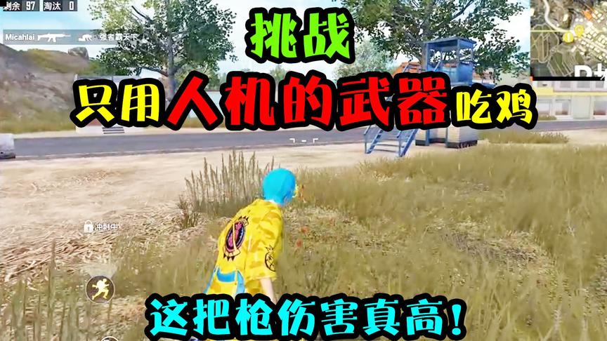 突击手蜜獾：挑战只用人机武器吃鸡！这枪2下一个人头，却没人用