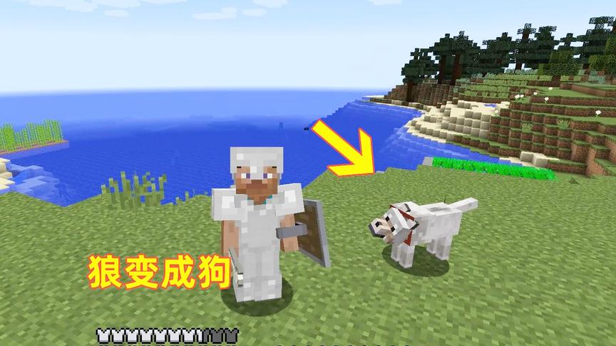 我的世界第22期！我用骨头把狼驯化成小狗，它还能帮我打僵尸呢