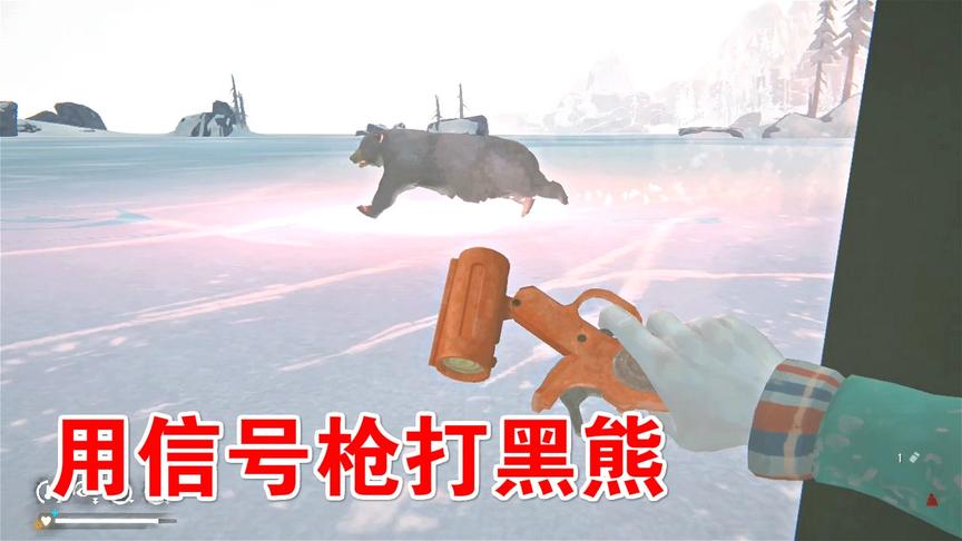 漫漫长夜38：星星遇上一只黑熊，果断用信号枪打熊！
