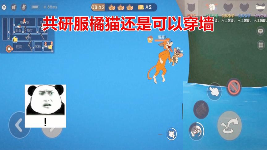 猫和老鼠手游：共研服橘猫还是可以卡死老鼠，泰菲bug也没修复