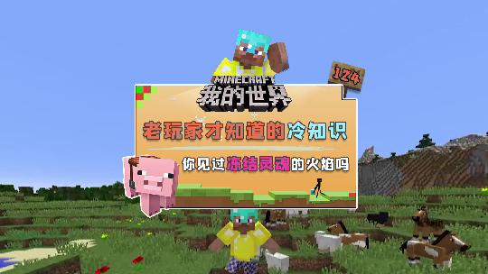 我的世界：你去过冰雪宫殿吗？里边的寒冰之火可以冰冻靠近的敌人