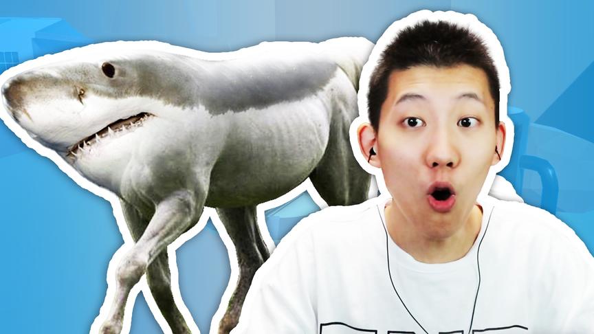 动物融合模拟器，鲨鱼和龙会变成什么？鲤鱼Ace解说