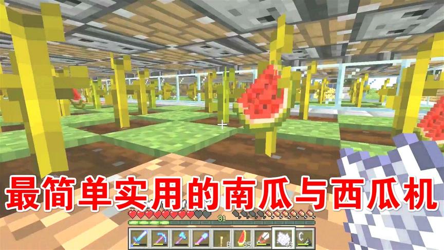 我的世界1.14生存：星星家的完美西瓜机与南瓜机！