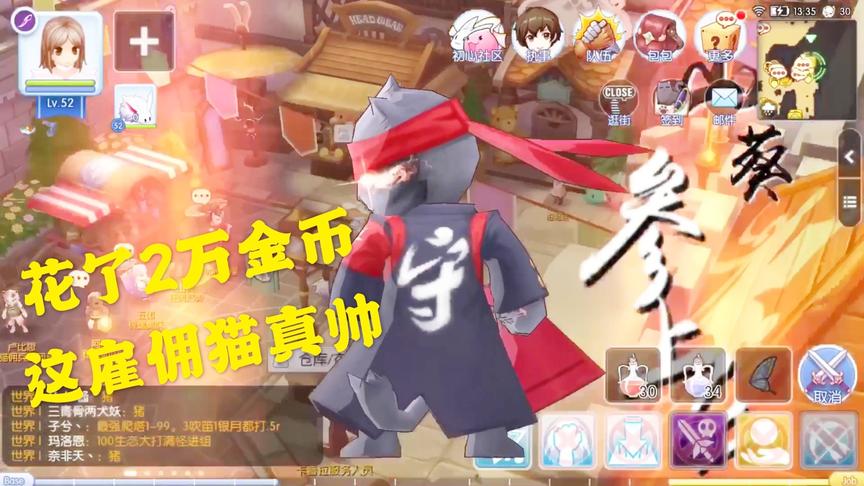 仙境传说ro：本本熊花2万雇佣了两只猫咪，能加防御又能加血量！