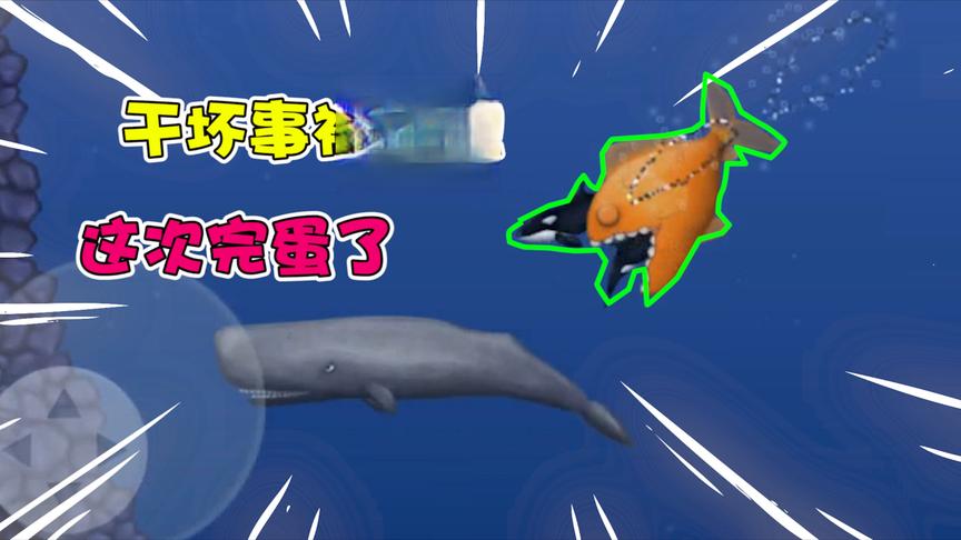 美味海洋6：魔王干坏事被发现！这下死定了？