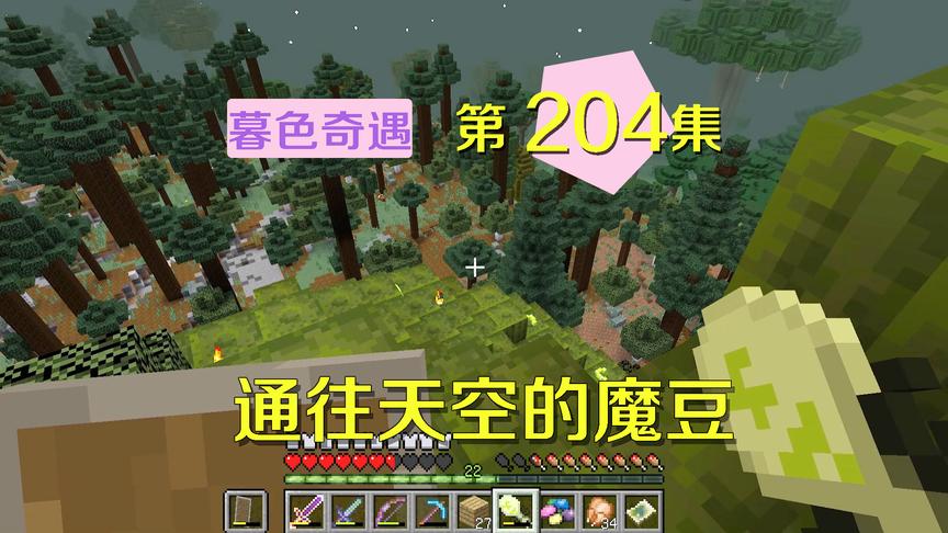 我的世界阿阳暮色奇遇204：魔豆直通云霄，和小月一起去云顶天宫