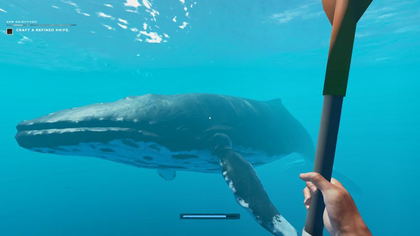荒岛求生64：我遇到了这片海域最大的生物，它就是抹香鲸！