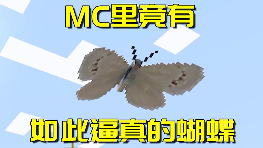 我的世界：一个阿阳女粉们肯定喜欢的mod，等等...阿阳有女粉？