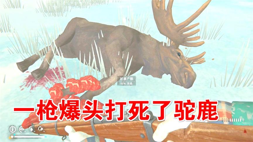 漫漫长夜47：一枪打死驼鹿，发达了！