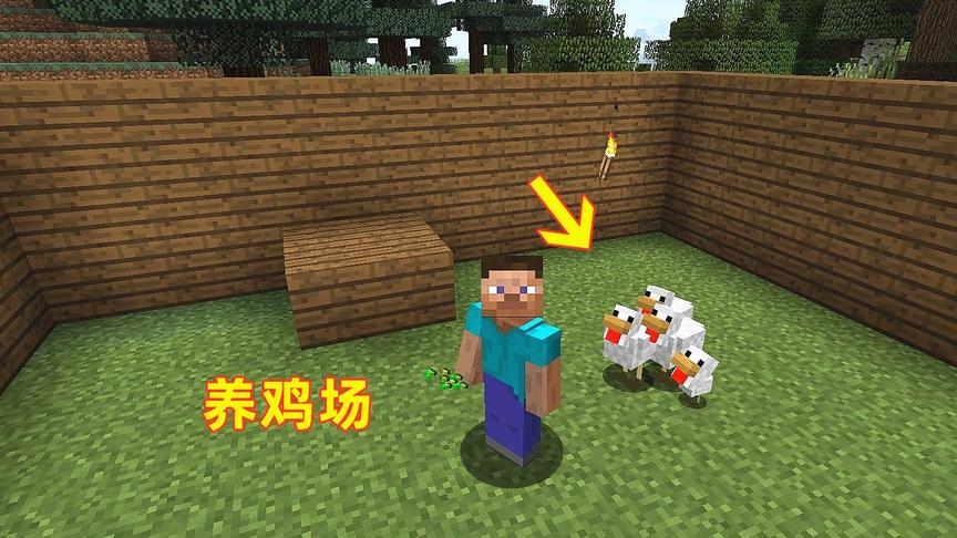 我的世界第4期！我用小麦种子把小鸡引回家里，今后这就是养鸡场