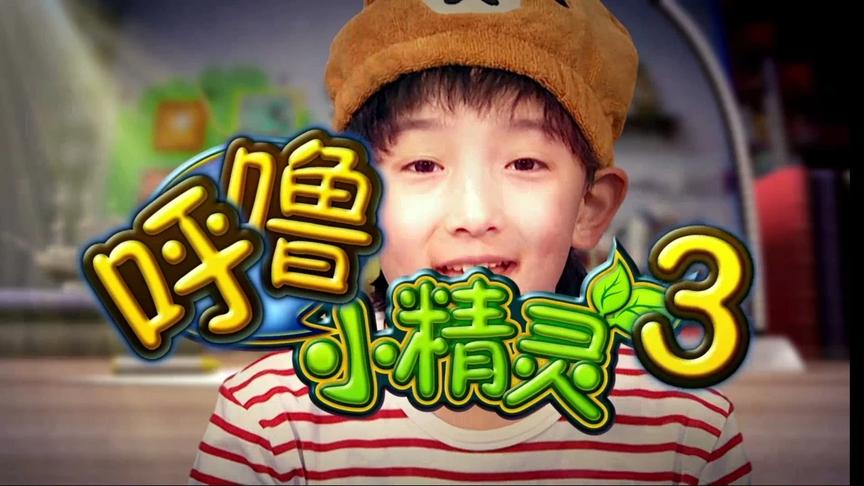 呼噜小精灵第三季第51集