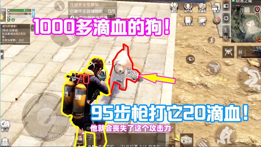 明日之后545：氪金大佬的狗有1000多的血？这是我见过皮最厚的狗