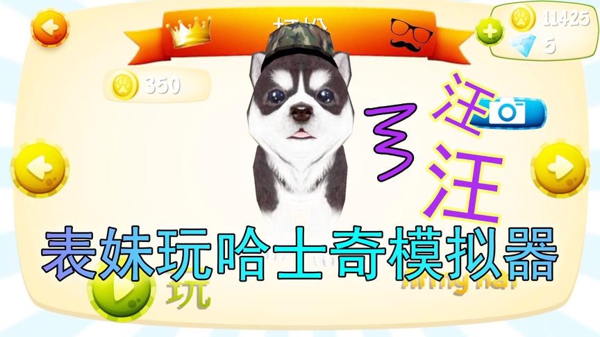 吴宝宝解说：表妹来玩哈士奇模拟器了 在这里面她是一只哈士奇
