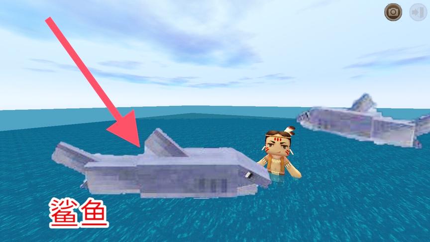 迷你世界：发现海洋新生物“鲨鱼”，凶猛无比可以驯服当坐骑？
