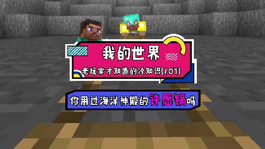 我的世界：你的愿望是什么呢？快来这里许下你的愿望吧