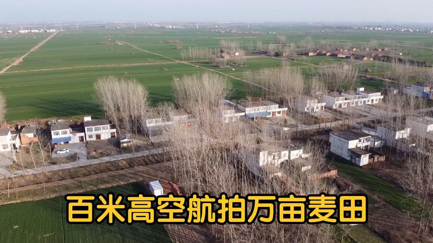 农人小松二胎生日 - 西瓜视频