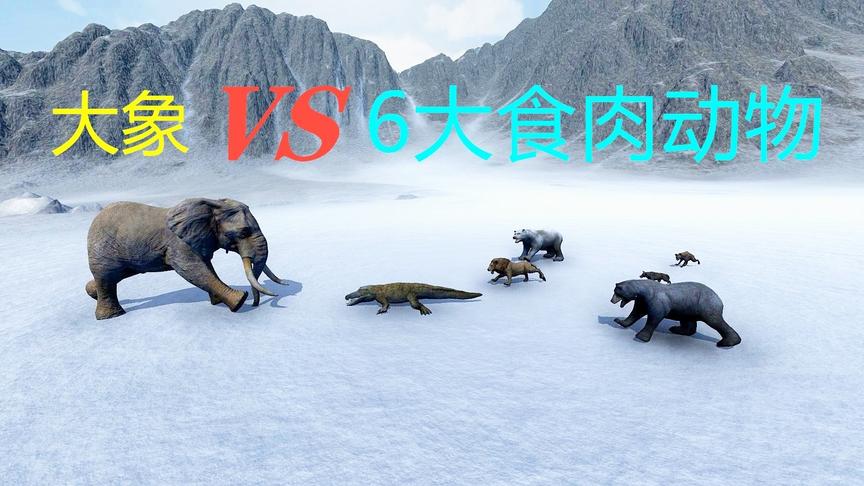 大象1V6大战六大食肉动物，能创造奇迹吗？结果完全没料到